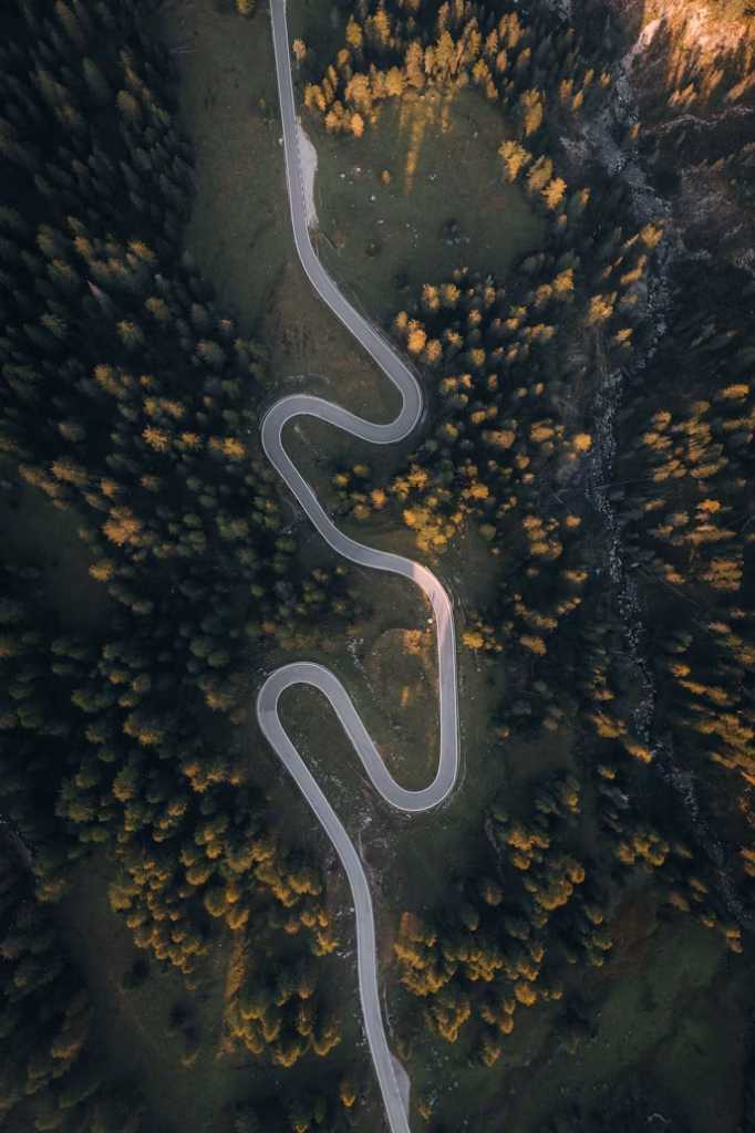 Winding mountain road through forest in the Dolomites